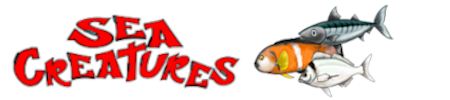 Sea Creatures 